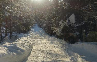 Góralski dom w Parku Krajobrazowym - Foto 29