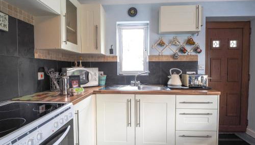 The Annexe Llandysul - Foto 4, stove, toaster, Other