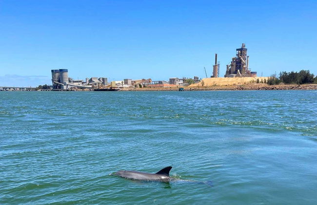 Balade en bateau sur la rivière Port Adelaide - Photo 3