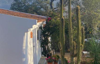 Três Figos - Foto 9