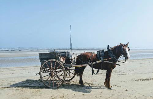 Ferme de Franqueville - Foto 35