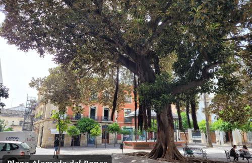 Jerez Centro Historico - Foto 63