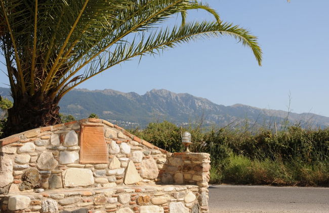 Irina Beach Hotel - Photo 78