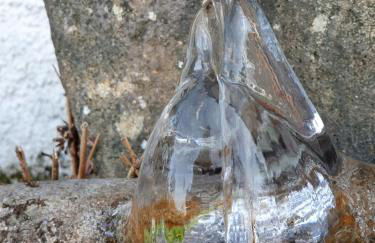 Unser Woidhaisl - idyllisches Ferienhaus im Bayerischen Wald - Foto 23