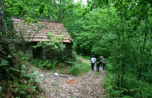 Casa das Pesqueiras - Foto 49