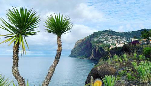 Ocean Cliff Apartment - Foto 2