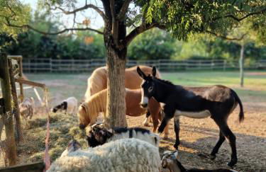 Agriturismo Corte Gaia - Foto 33