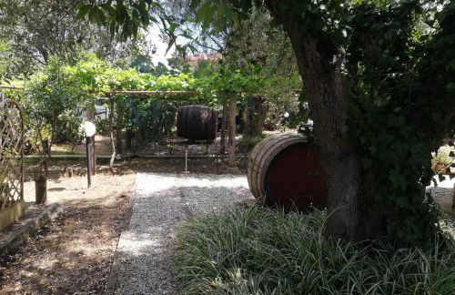 Verde & Mare - Photo 55