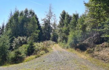 Haus Kellerwald - Ferienwohnung Kellerwald-Edersee - Foto 35