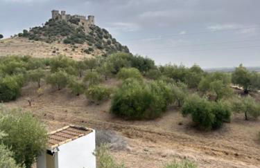 Casa Caraza. Un olivar con vistas al castillo de Juego de Tronos - Foto 32