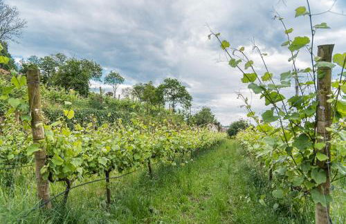 Quinta das Piramides - Foto 49