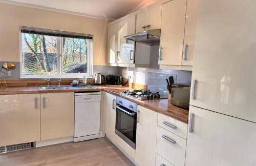 Welsh Villa-Hot Tub-Tenby-Carmarthen-Forestsetting - Foto 2