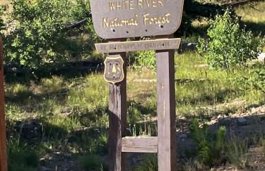 Watch Hill 216 - Foto 13