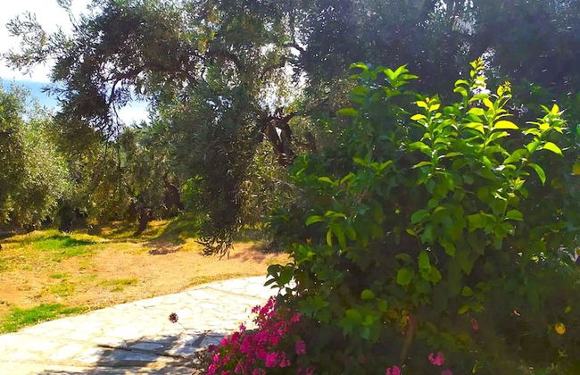 Villa Leonidas GreeceFiloxenia - Photo 57