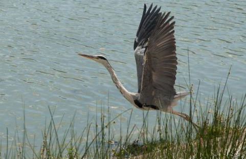 Podere Calledro - Foto 58