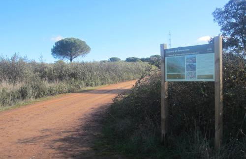 Cortijo "Era Grande 2" - Foto 59