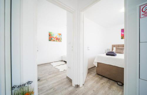 Leonardo House - Foto 55