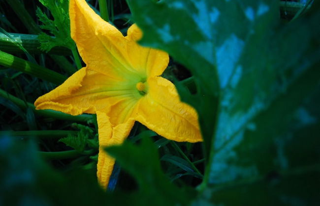 Agriturismo Al Marnich - Foto 57