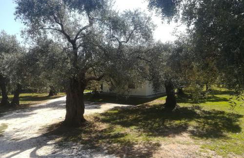 Lucia's Home - Foto 19