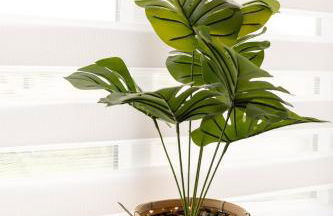 Modern Spacious Home - Parking - Sleeps 6 - minutes from the A1 & the Races - Foto 9