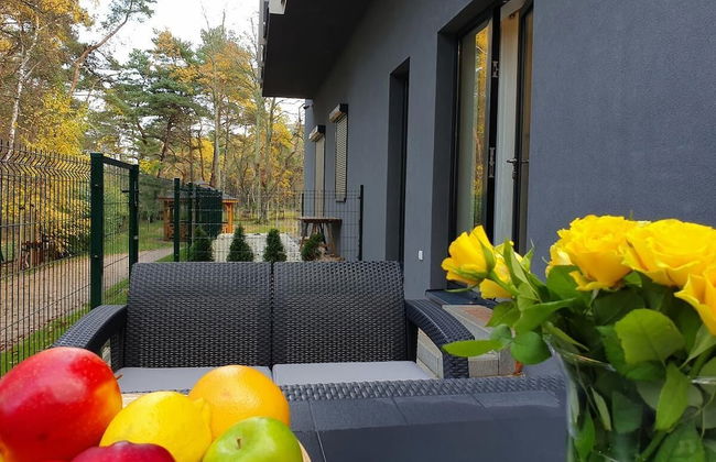 DWIE SOSNY-Apartament na wydmie - 365PAM - Photo 33