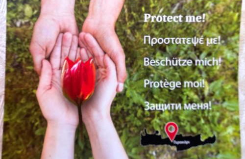 Tulip House - Foto 58