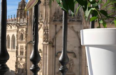 Una MIRADA A LA CATEDRAL-Apartamentos Burgos Catedral - Foto 70