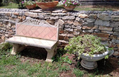 Sargantana Blava - Foto 59