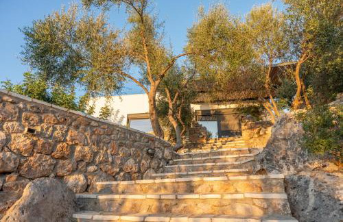 Casatino Villas - Photo 79