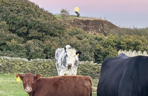 1 Bed in Slaithwaite oc-c34249 - Foto 31