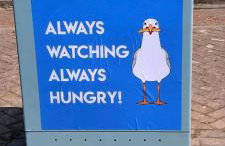 Beachside Apartment - Foto 36