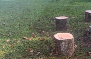 Happy Place near WEC , Natural Springs,Zip-Line - Photo 28