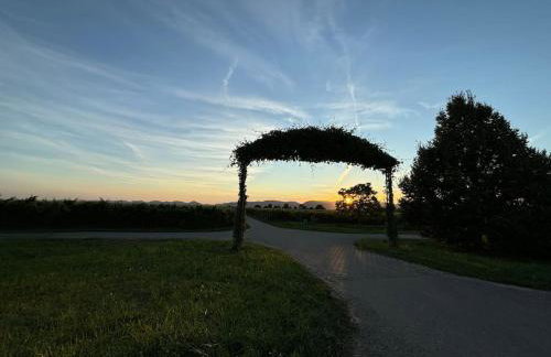 Ferienwohnung in der Südpfalz - Foto 8