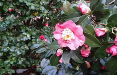 L'Antica Dimora - Foto 52