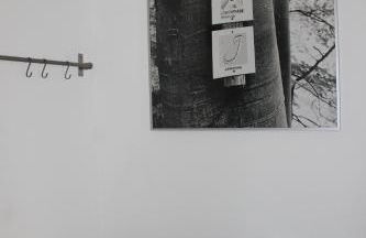 Ferienwohnung - Am Löwenpfad - Bad Ditzenbach-Gosbach - Foto 14