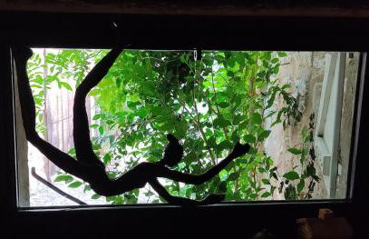 Maison de village, piscine, Colorado - Foto 14