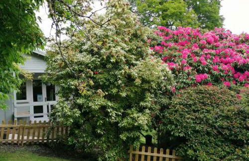 Treeside woodhouse - Foto 48