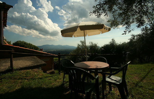 Fattoria Gambaro di Petrognano - Foto 48