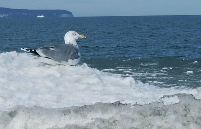 55, Apartment House "bel-vital" - Photo 4