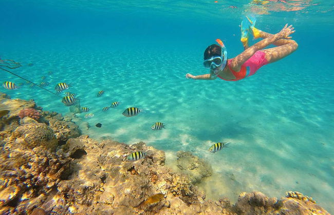 Snorkel no Parque Nacional Ras Mohamed - Foto 6