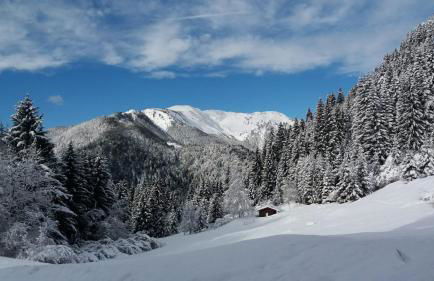 La Casa degli Sbilfs - Wi-Fi, Netflix e Garage Box , a 2 minuti dal Monte Zoncolan - Foto 19