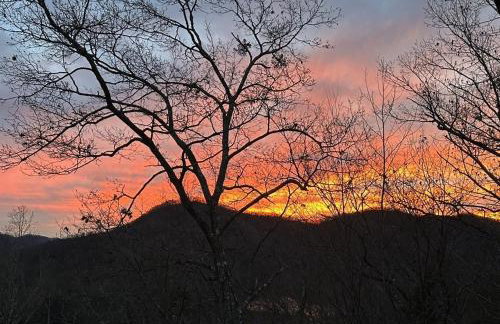 Bear's Mountaintop Home with Gorgeous Lake Views chalet - Foto 44