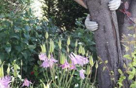 Spreewald-Ferienwohnung Jahn - Foto 20