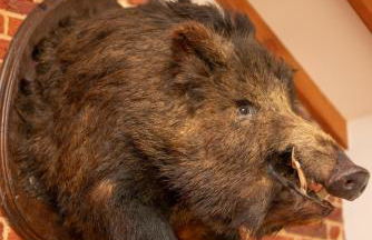 3 Bed in East Somerton oc-22006 - Foto 16