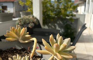 Apartmani Grgić - Foto 4