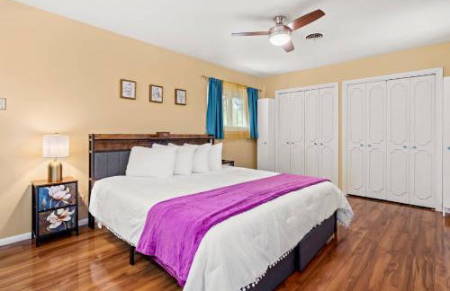 Bella Patricia - Foto 5