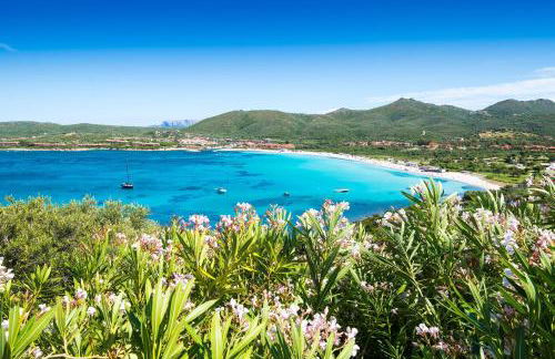 Giotto In Sardegna With Shared Pool - Happy Rentals - Photo 22