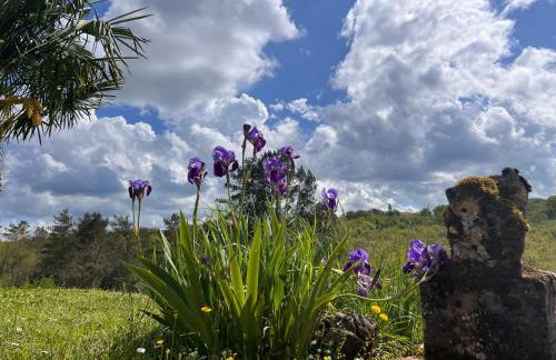 Blue Horizons Farm - Countryside Gîte - Pet Friendly - Sleeps 8 - Foto 59