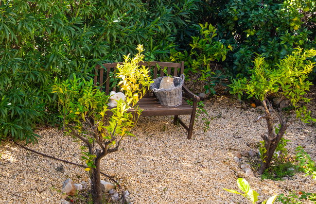 Petite Fleur - Foto 50