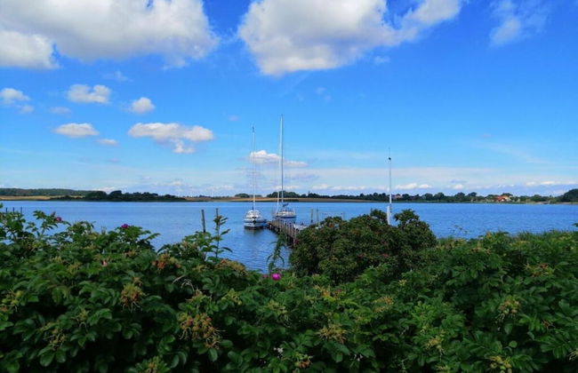 Dream Location in Maasholm - Foto 15